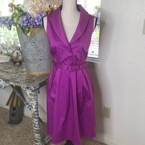 Spense dark raspberry fit and flare dress